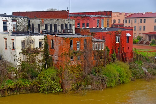 Alabama River bank in Selma Alabama River bank in Selma