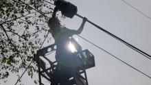 A line work is suspended in air reaching for fiber splice case on aerial fiber line next to a tree