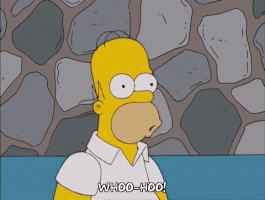 homer-giphy.gif